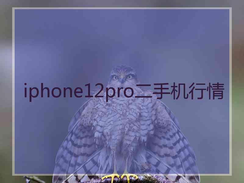 iphone12pro二手机行情