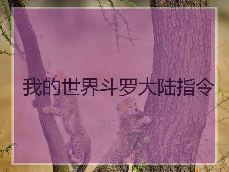 我的世界斗罗大陆指令