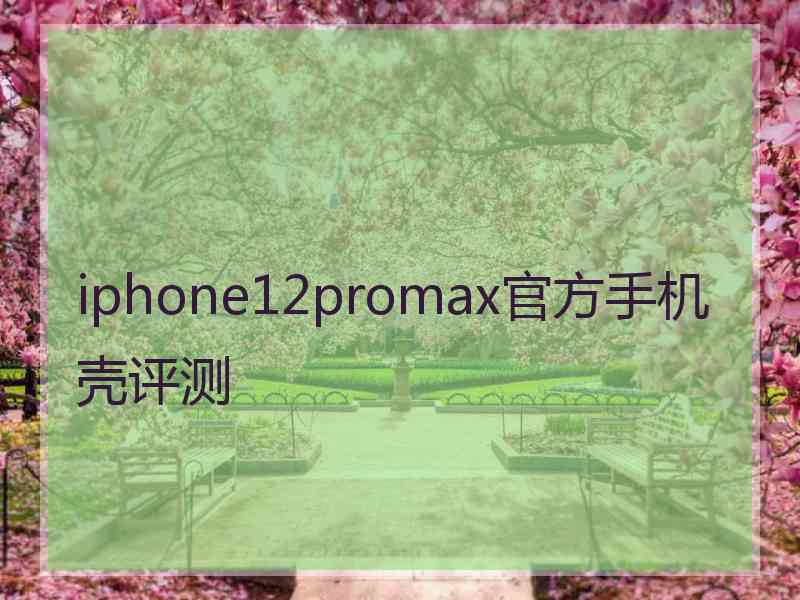 iphone12promax官方手机壳评测