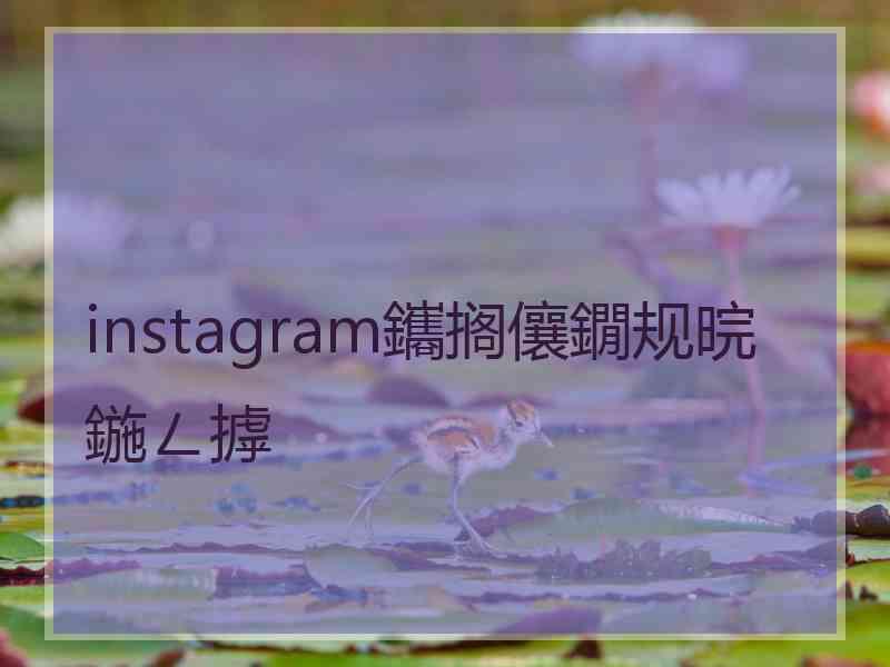 instagram鑴搁儴鐗规晥鍦ㄥ摢