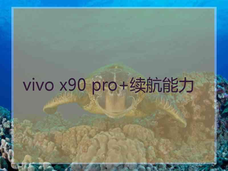 vivo x90 pro+续航能力