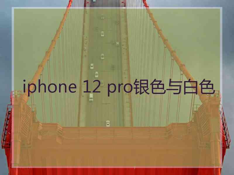 iphone 12 pro银色与白色