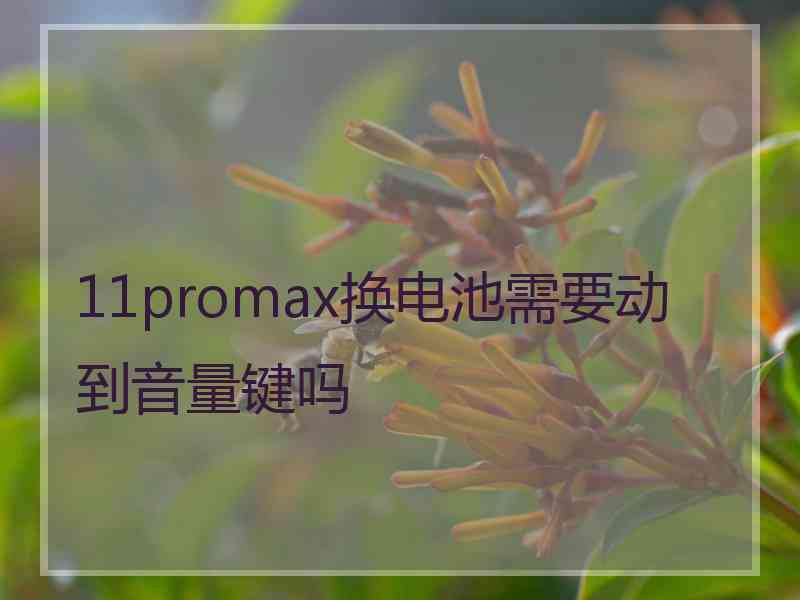 11promax换电池需要动到音量键吗