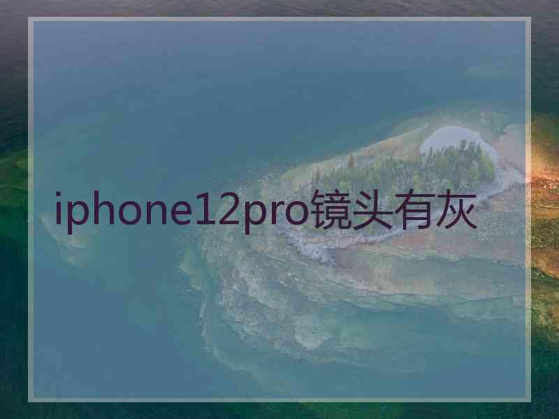 iphone12pro镜头有灰