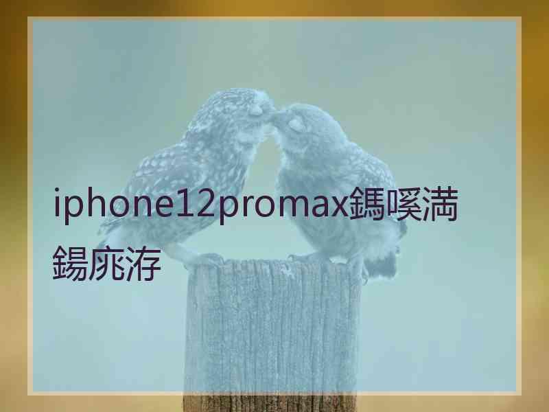 iphone12promax鎷嗘満鍚庣洊