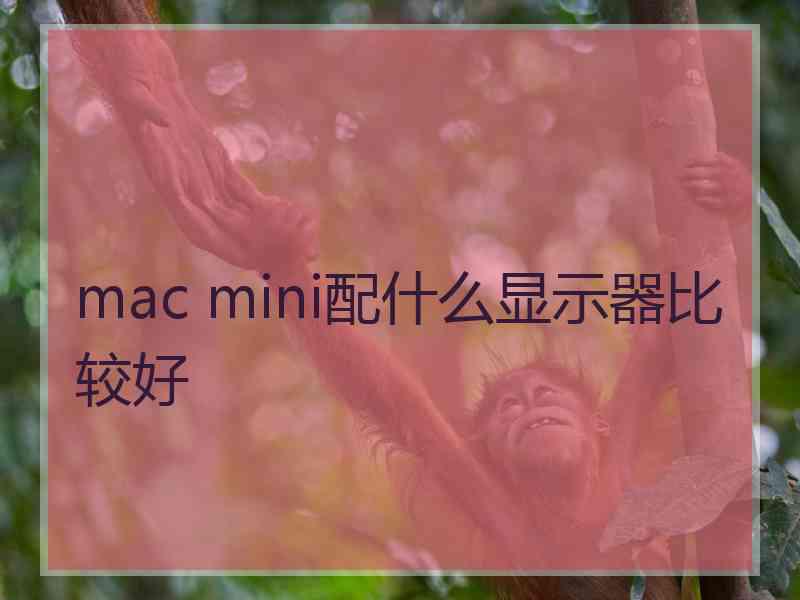 mac mini配什么显示器比较好