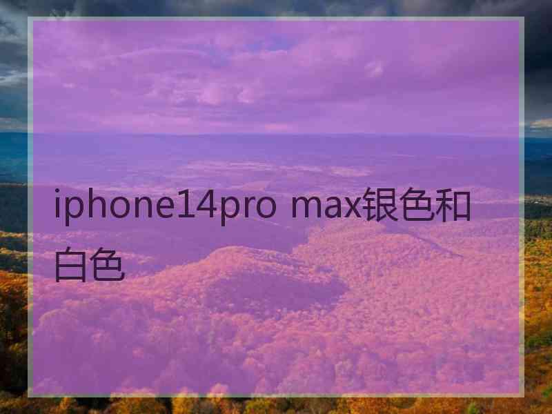 iphone14pro max银色和白色