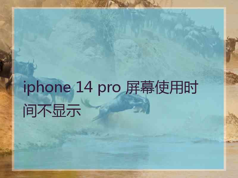 iphone 14 pro 屏幕使用时间不显示