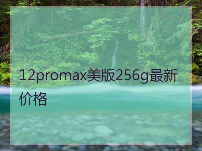 12promax美版256g最新价格