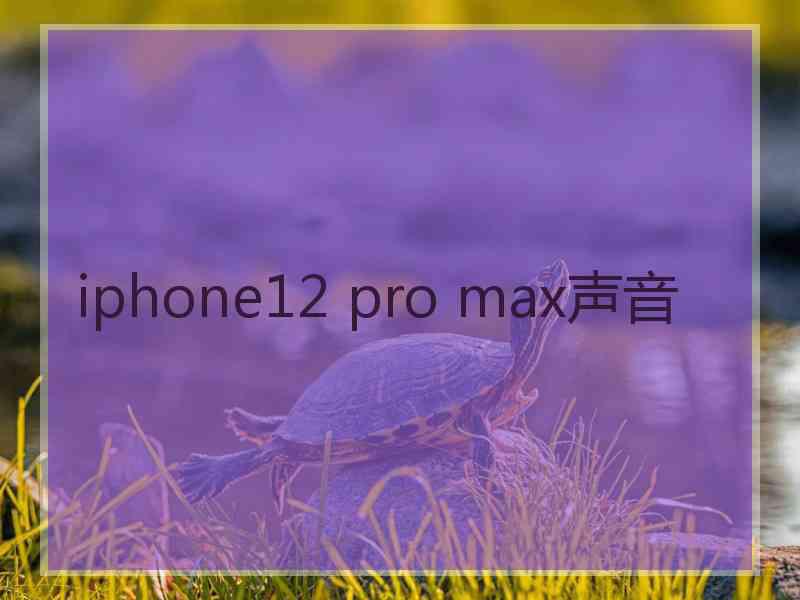 iphone12 pro max声音