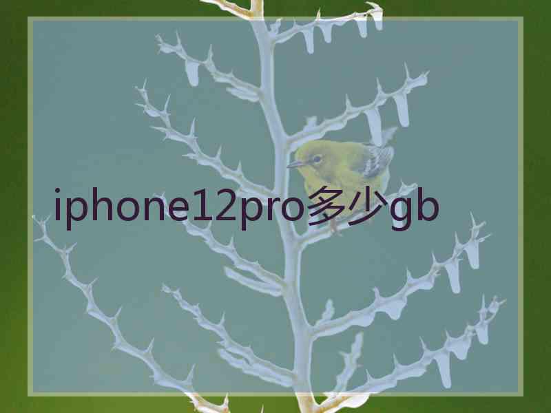 iphone12pro多少gb