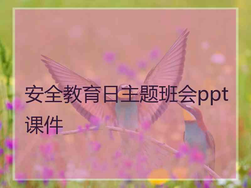 安全教育日主题班会ppt课件