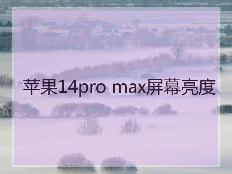 苹果14pro max屏幕亮度