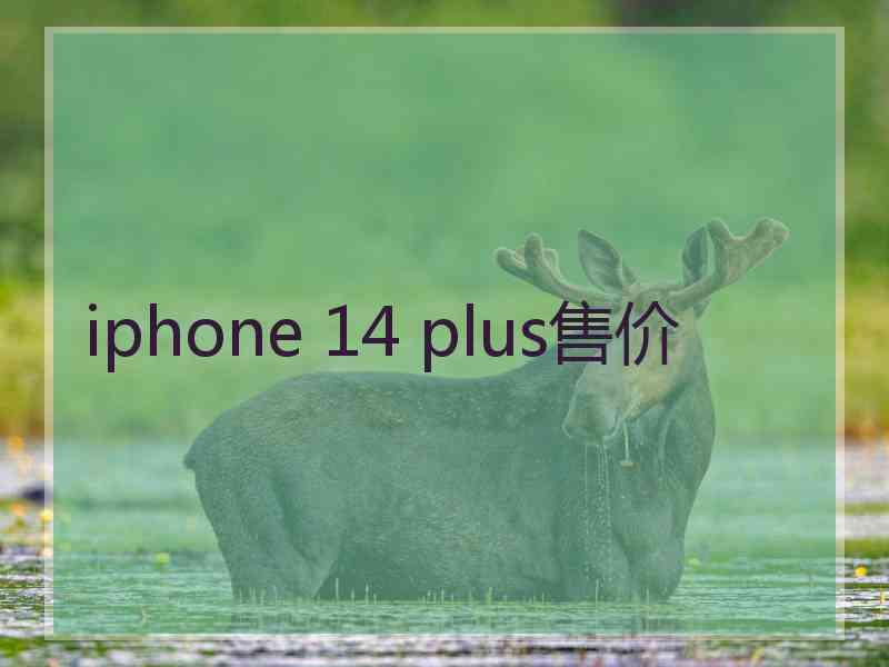 iphone 14 plus售价