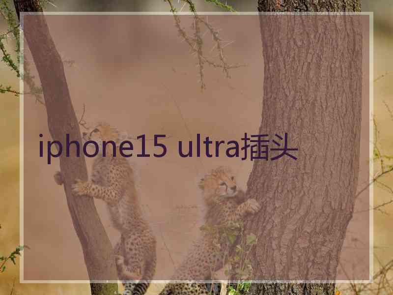 iphone15 ultra插头