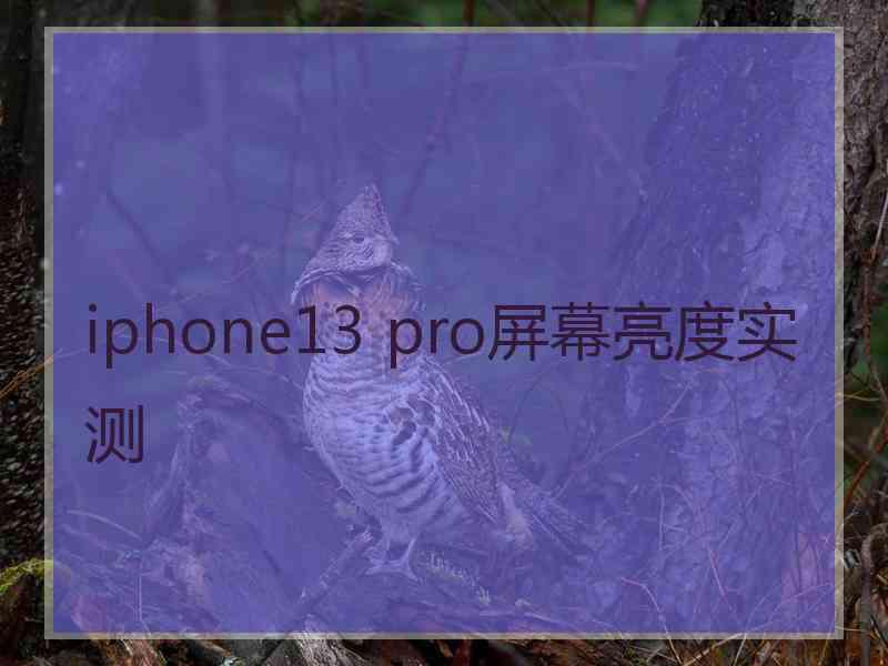 iphone13 pro屏幕亮度实测