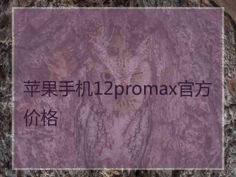 苹果手机12promax官方价格