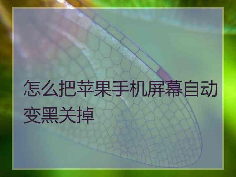 怎么把苹果手机屏幕自动变黑关掉