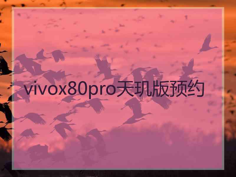 vivox80pro天玑版预约