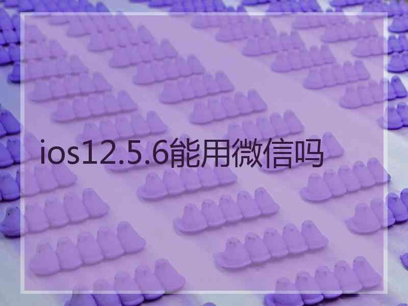 ios12.5.6能用微信吗