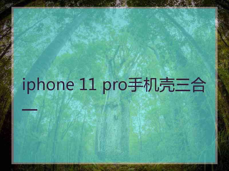 iphone 11 pro手机壳三合一