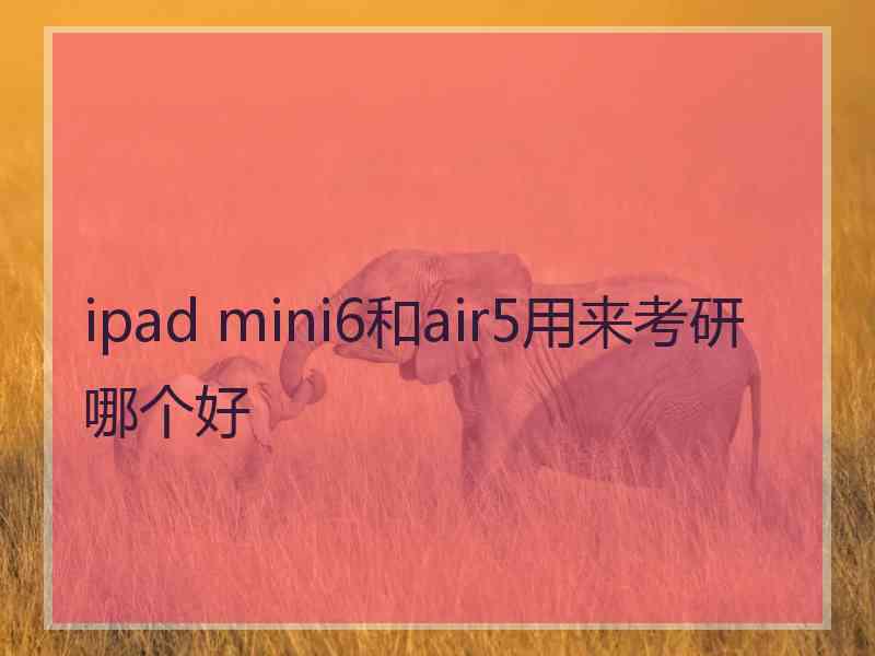 ipad mini6和air5用来考研哪个好