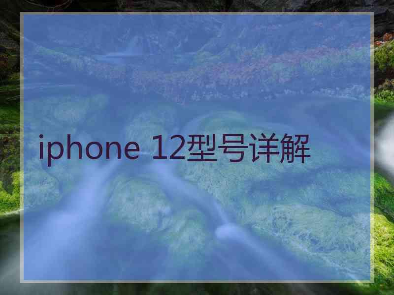 iphone 12型号详解