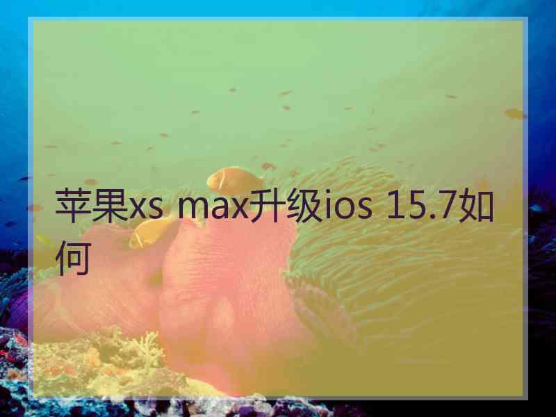 苹果xs max升级ios 15.7如何