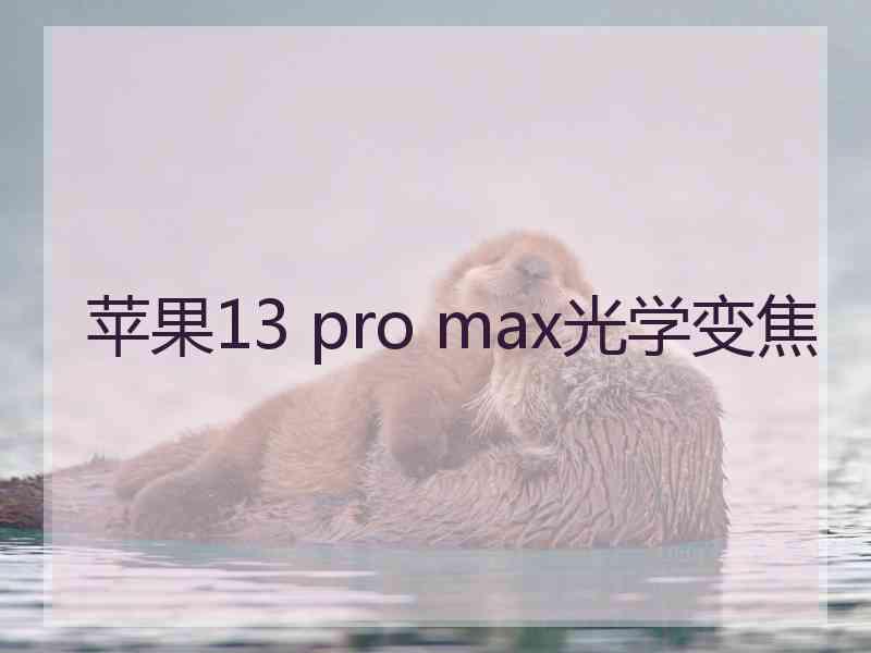 苹果13 pro max光学变焦