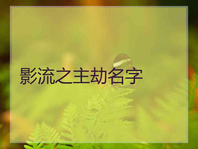 影流之主劫名字