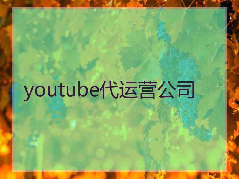 youtube代运营公司