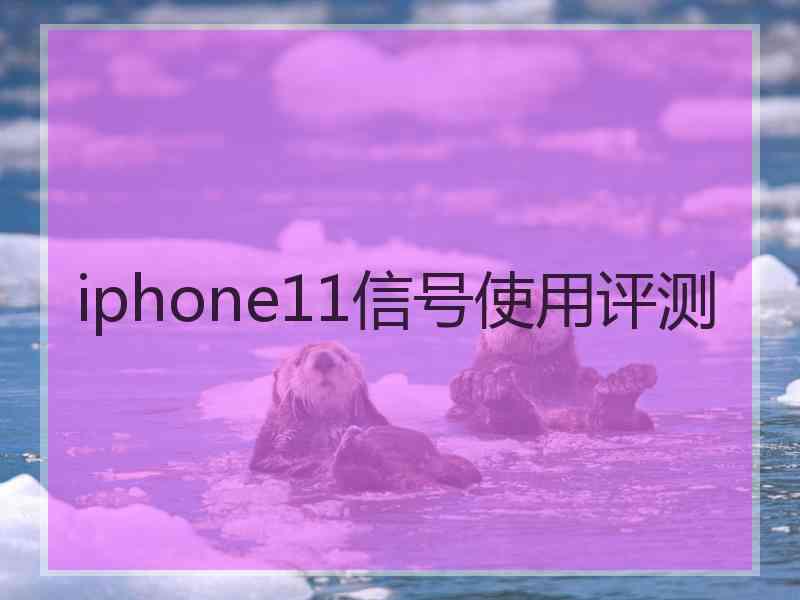 iphone11信号使用评测