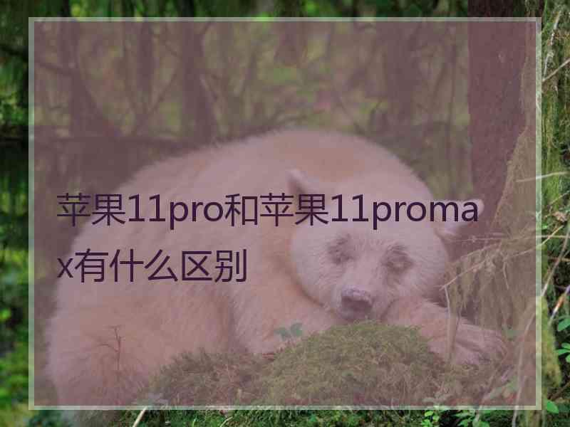 苹果11pro和苹果11promax有什么区别