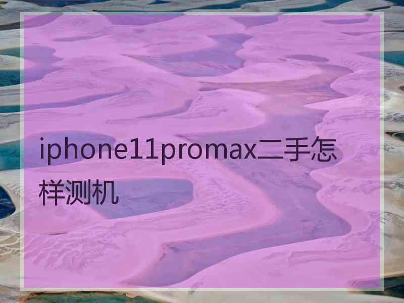 iphone11promax二手怎样测机