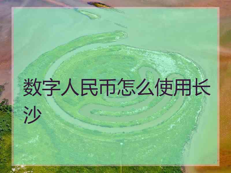 数字人民币怎么使用长沙