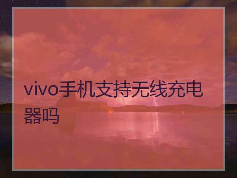 vivo手机支持无线充电器吗