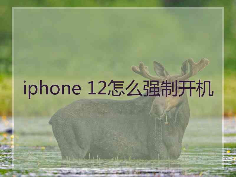 iphone 12怎么强制开机