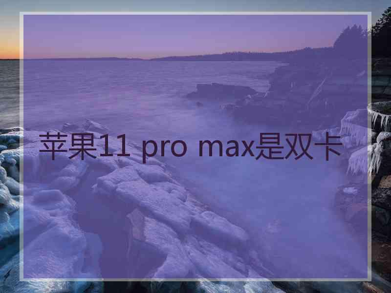 苹果11 pro max是双卡