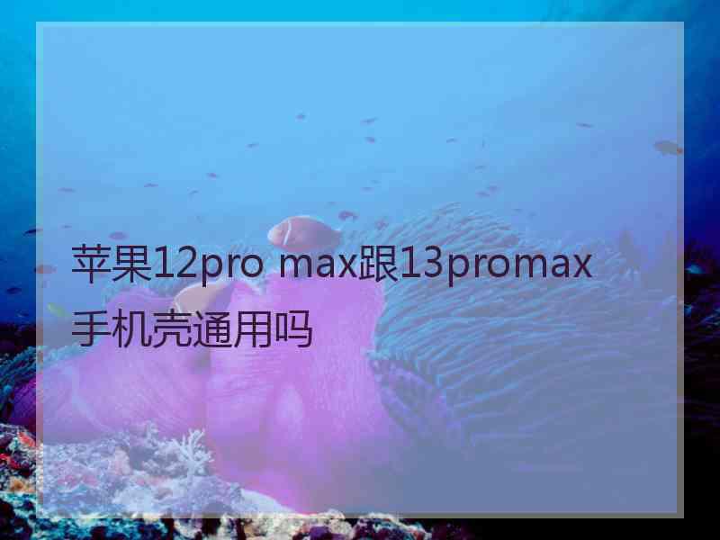 苹果12pro max跟13promax手机壳通用吗