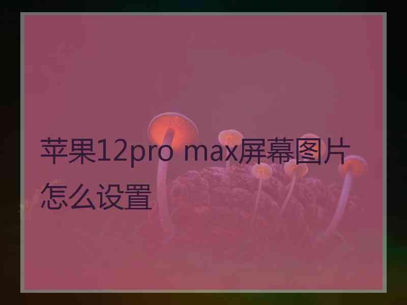 苹果12pro max屏幕图片怎么设置