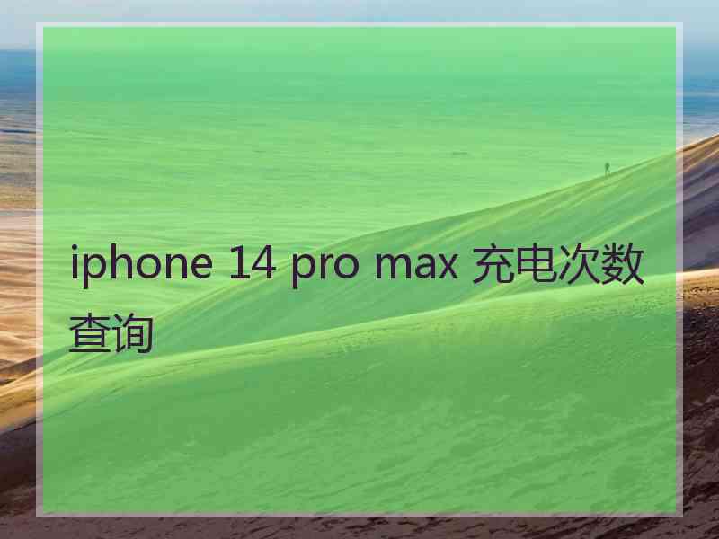 iphone 14 pro max 充电次数查询