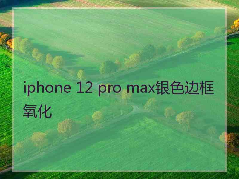 iphone 12 pro max银色边框氧化