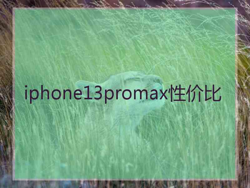 iphone13promax性价比