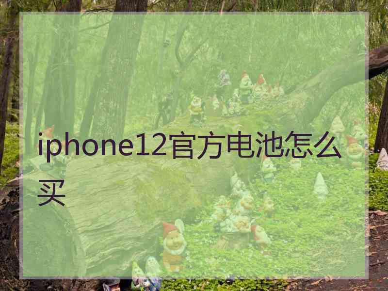 iphone12官方电池怎么买