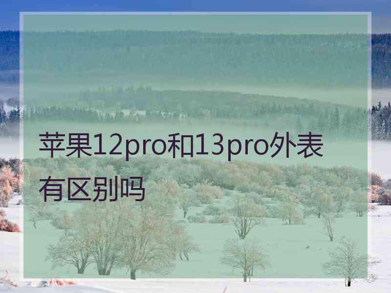 苹果12pro和13pro外表有区别吗