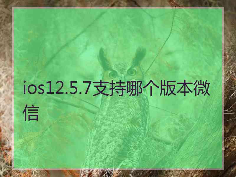 ios12.5.7支持哪个版本微信