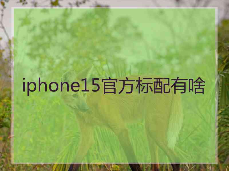 iphone15官方标配有啥