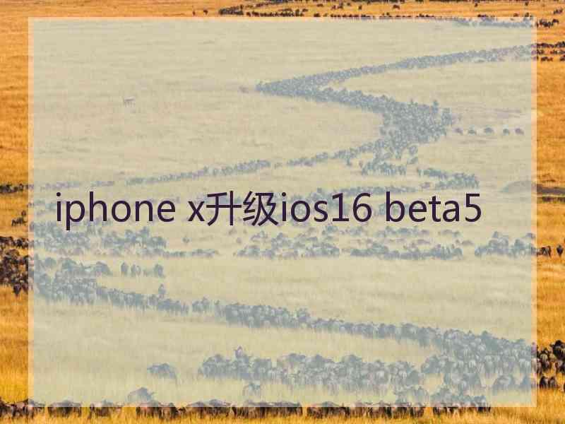 iphone x升级ios16 beta5