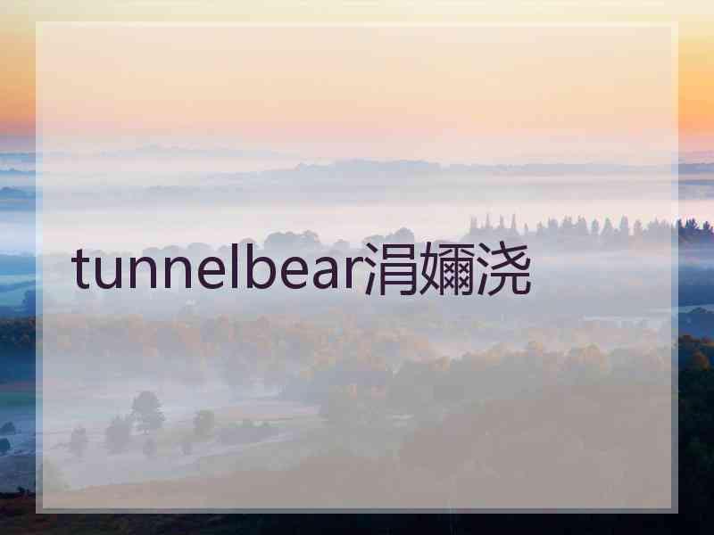 tunnelbear涓嬭浇