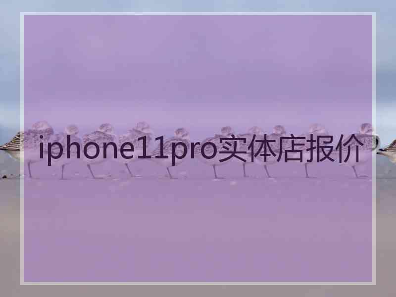 iphone11pro实体店报价